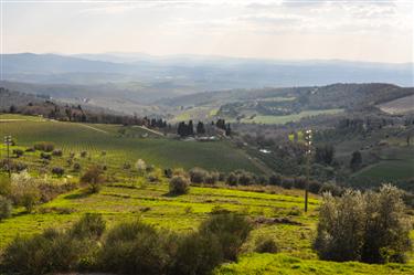 Tuscan Countryside, Tuscany, Italy